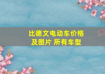 比德文电动车价格及图片 所有车型